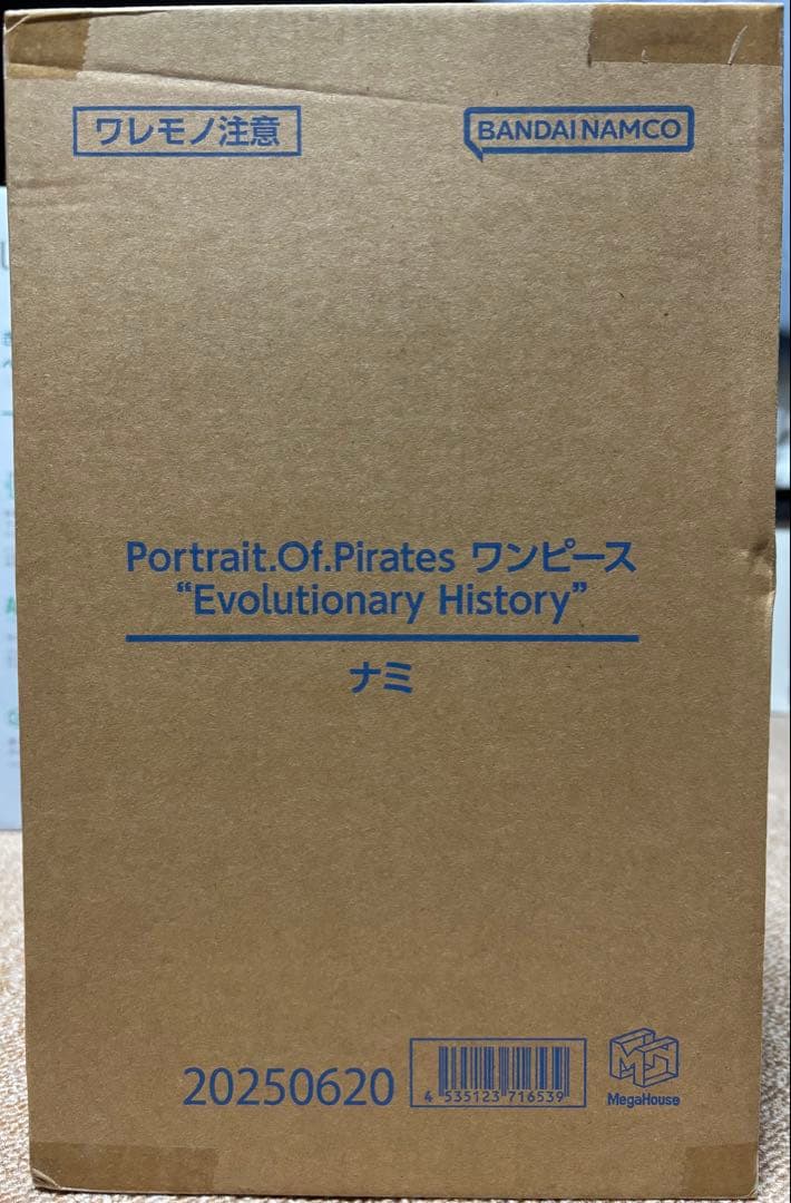 POP ワンピース “Evolutionary History” ナミ
