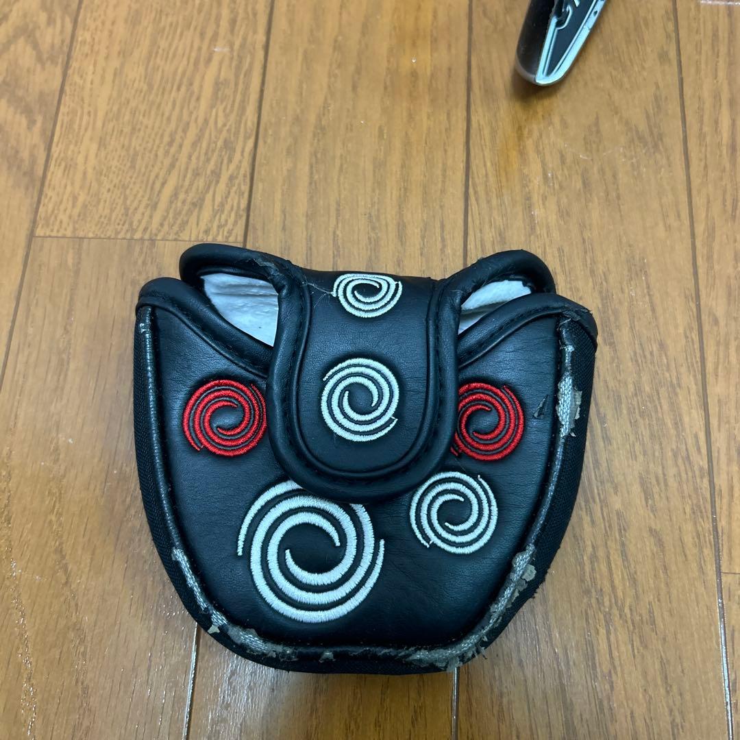 ODYSSEY VERSA SABERTOOTH 350gパター