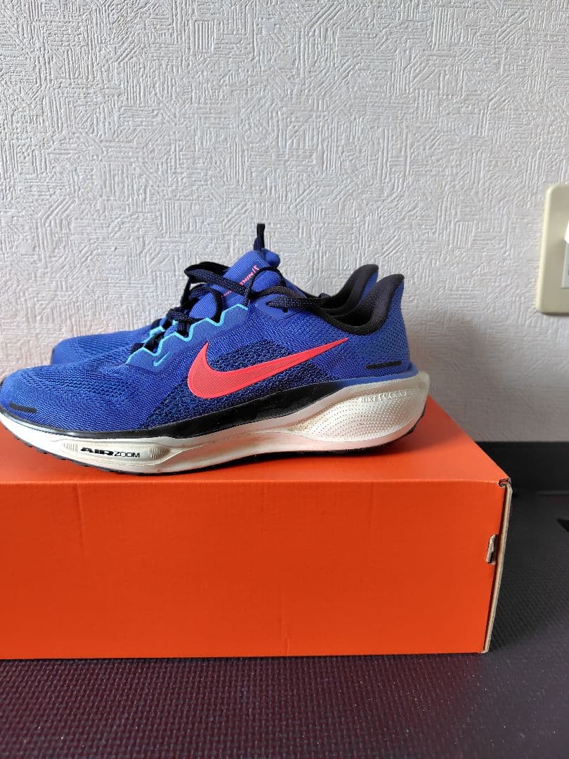 NIKE　ナイキ　ズームペガサス41 25.5cm