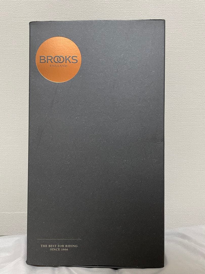 brooks カーボンレール cambium c13