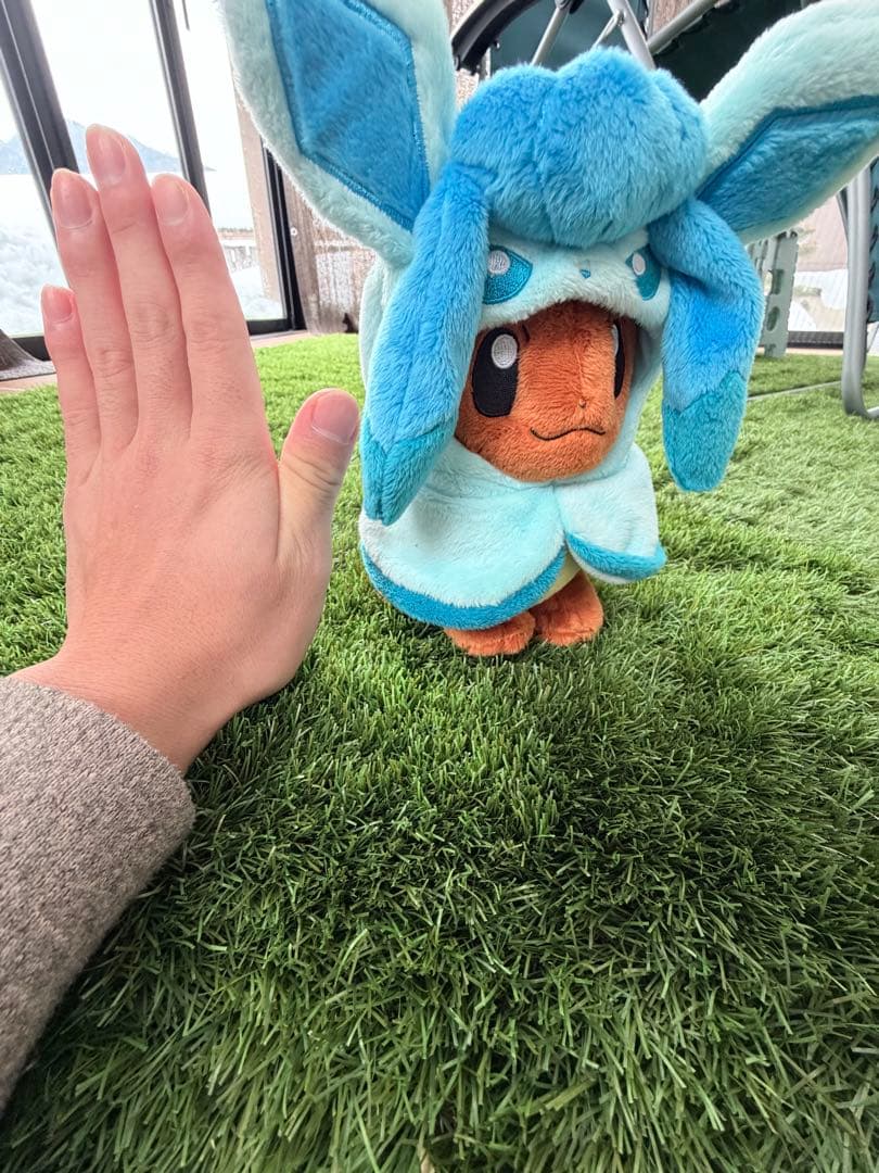 【全てタグ付】ポケセン限定レア3体セット（イーブイ・カプコケコ・ミニリュウ）