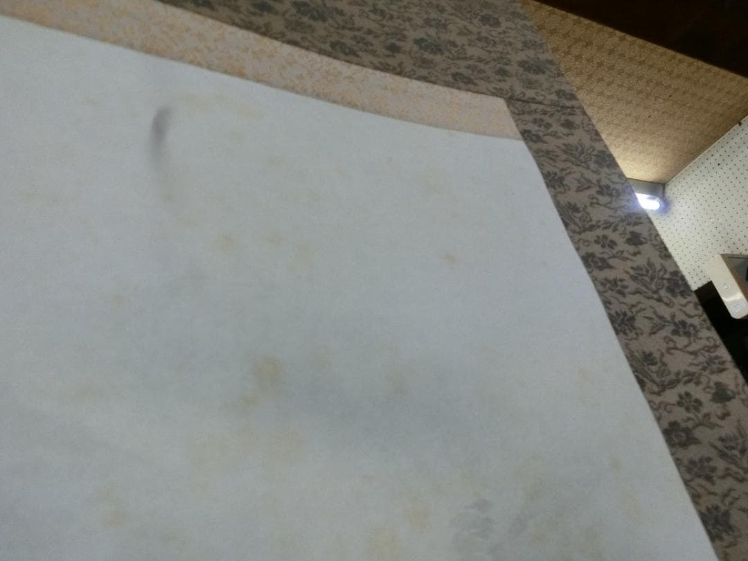 ㊱水墨画 水墨山水 春水画