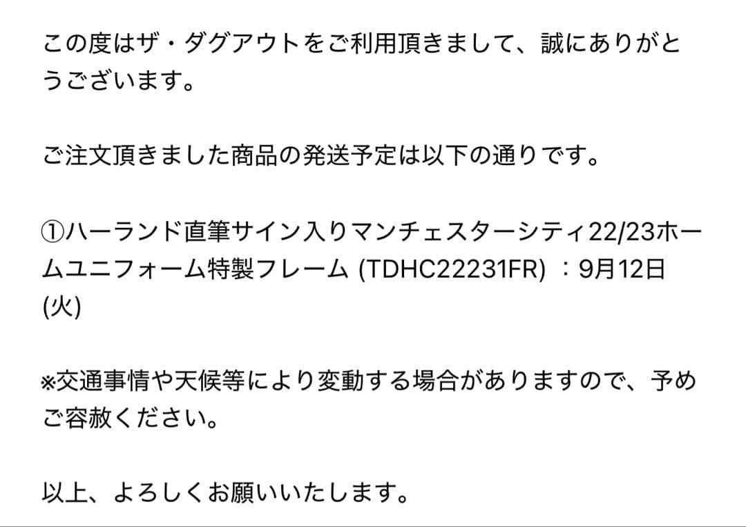 マンチェスターシティ ハーランド サイン ユニフォーム(証明書付き)