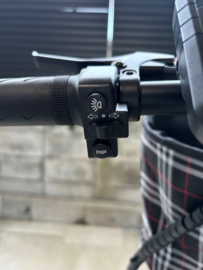 電動自転車　48V/20ah 大容量バッテリー