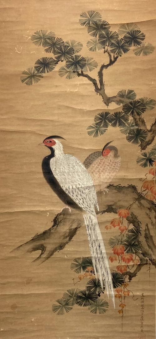 土佐光貞／土佐光芳の息子「雉」花鳥画 掛軸 紙本：江戸時代中期