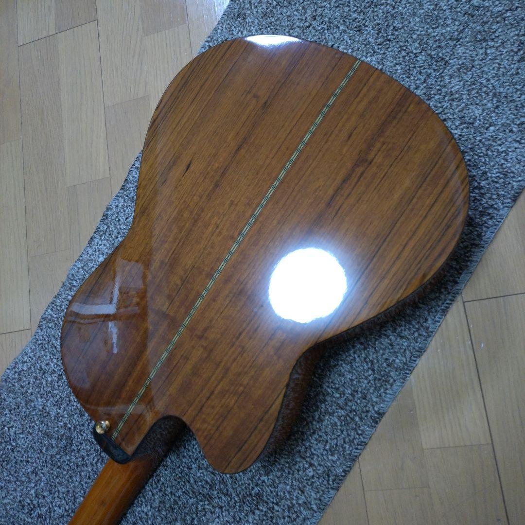 Fender エレガット CG24SCE クラシック アコースティック