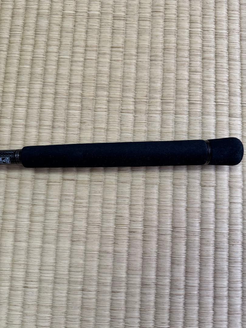 Daiwa ラブラックス AGS 96M シーバスロッド