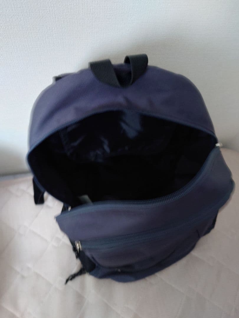 【美品】ルースイソンブラリュック