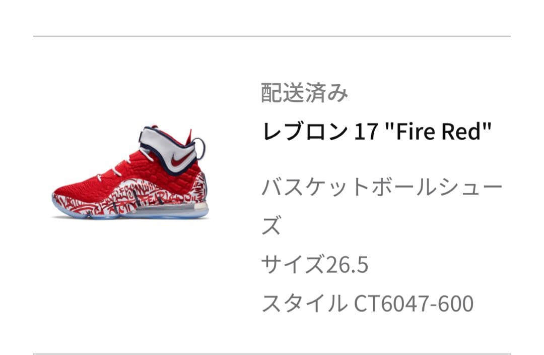NIKE LEBRON 17 Fire Red size ナイキ　レブロン