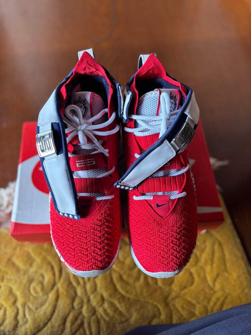 NIKE LEBRON 17 Fire Red size ナイキ　レブロン