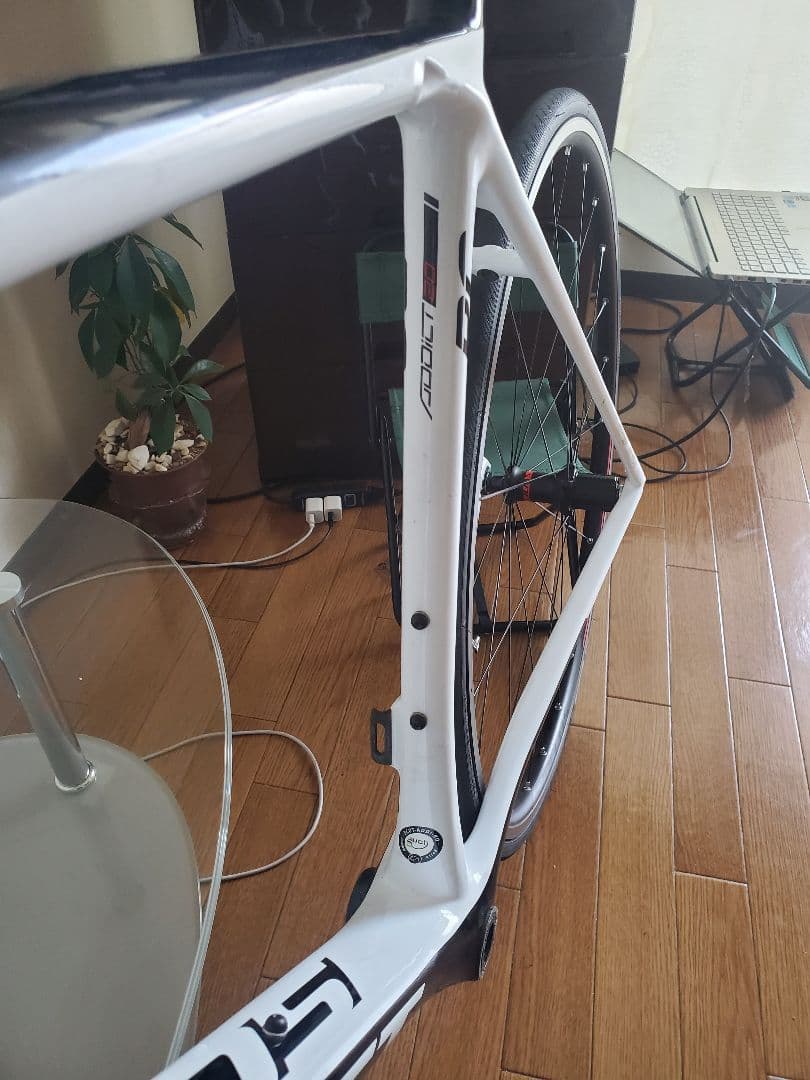Scott RC 20 ロードバイク カーボンフレーム サイズ）L(56)