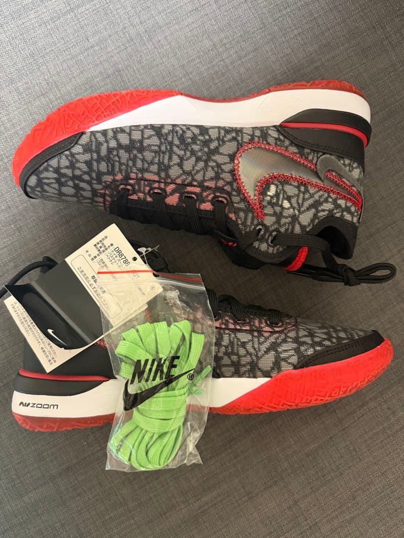 シューズ(男性用) 24.5cm NIKE ZOOM LEBRON NXXT GEN EP