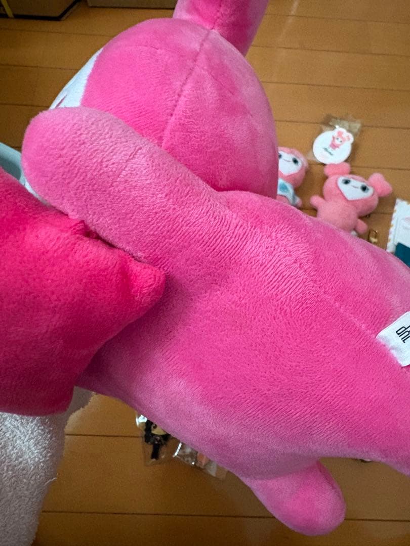 TWICE モモグッズ集