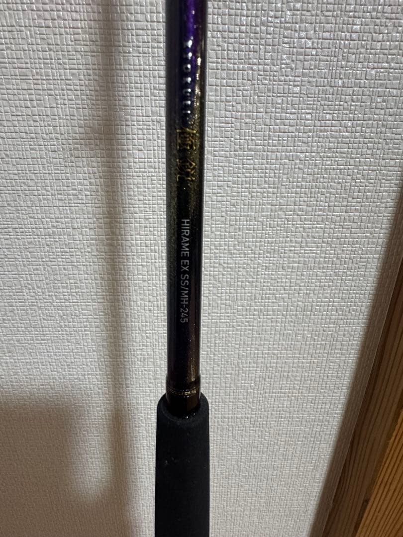 ダイワ　25 極鋭　ヒラメ　EX SS/MH-245