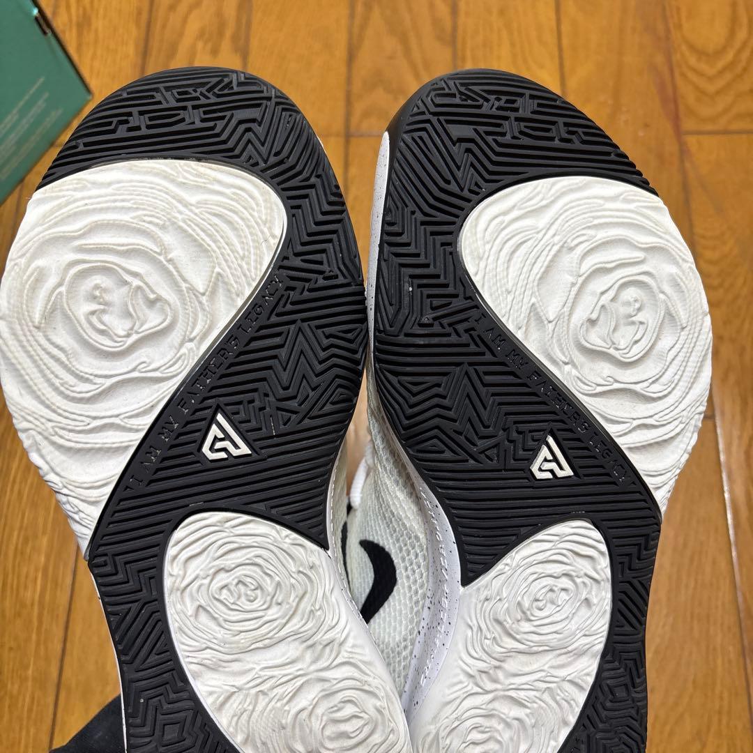 NIKE ZOOM FREAK1 希少 人気モデル
