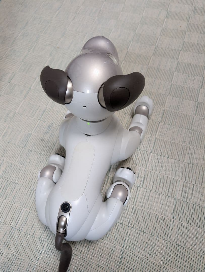 ソニー aibo アイボ ペットロボット 家電 ERS-1000 【中古】