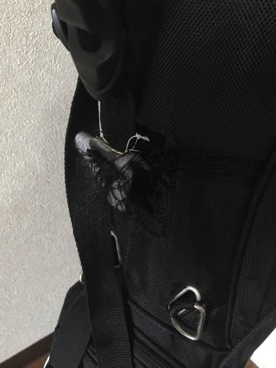 キャロウェイ ゴルフバック