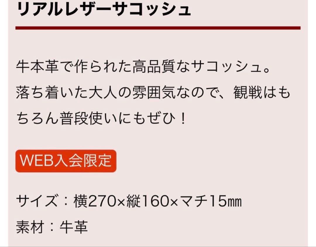 中日ドラゴンズ　サコッシュ　チケットケース　リアルレザーサコッシュ　牛革