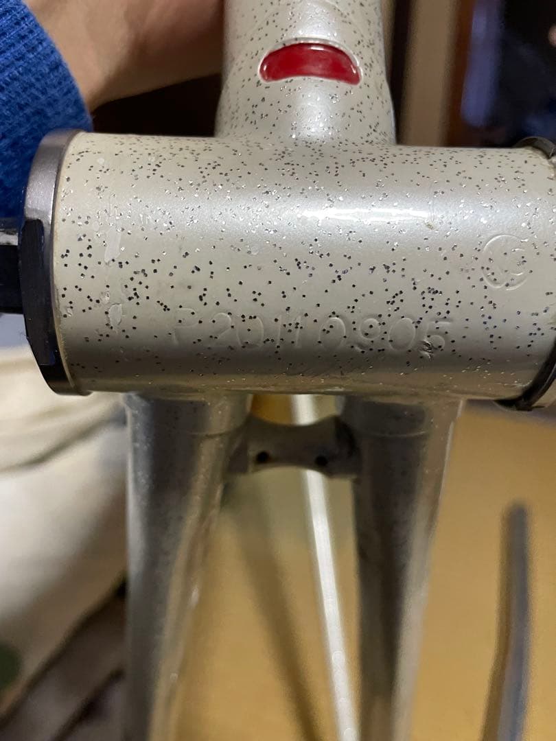 PELOTON NJSフレームその他諸々ARAYA GOLD リム付き