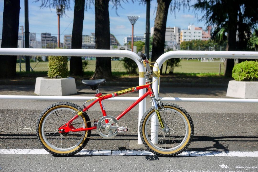 16インチ BMX マングースデカール