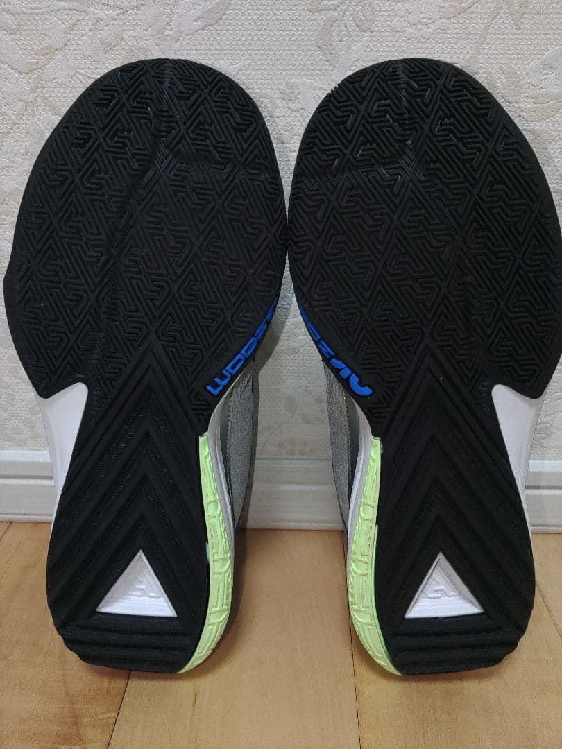 NIKE ZOOM FREAK 5 EP　28cm