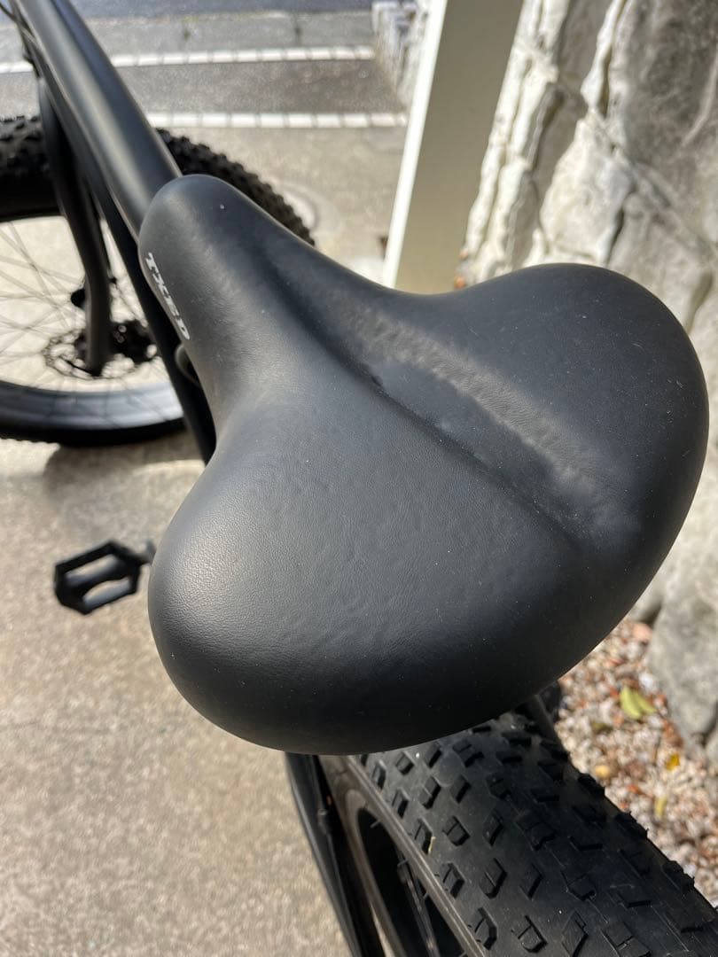 【引き取り限定】TXED ファットバイク ビーチクルーザー BMX 自転車