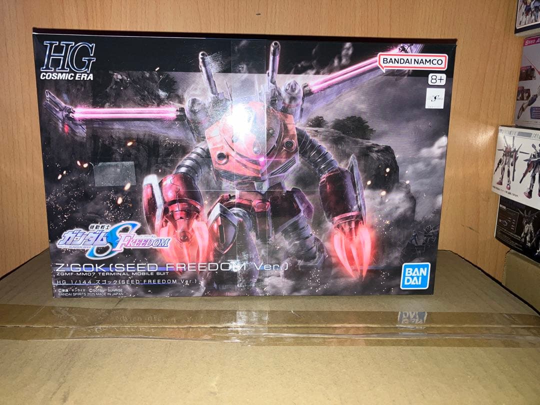 HG 機動戦士ガンダムSEED シリーズ ガンプラなど19個セット