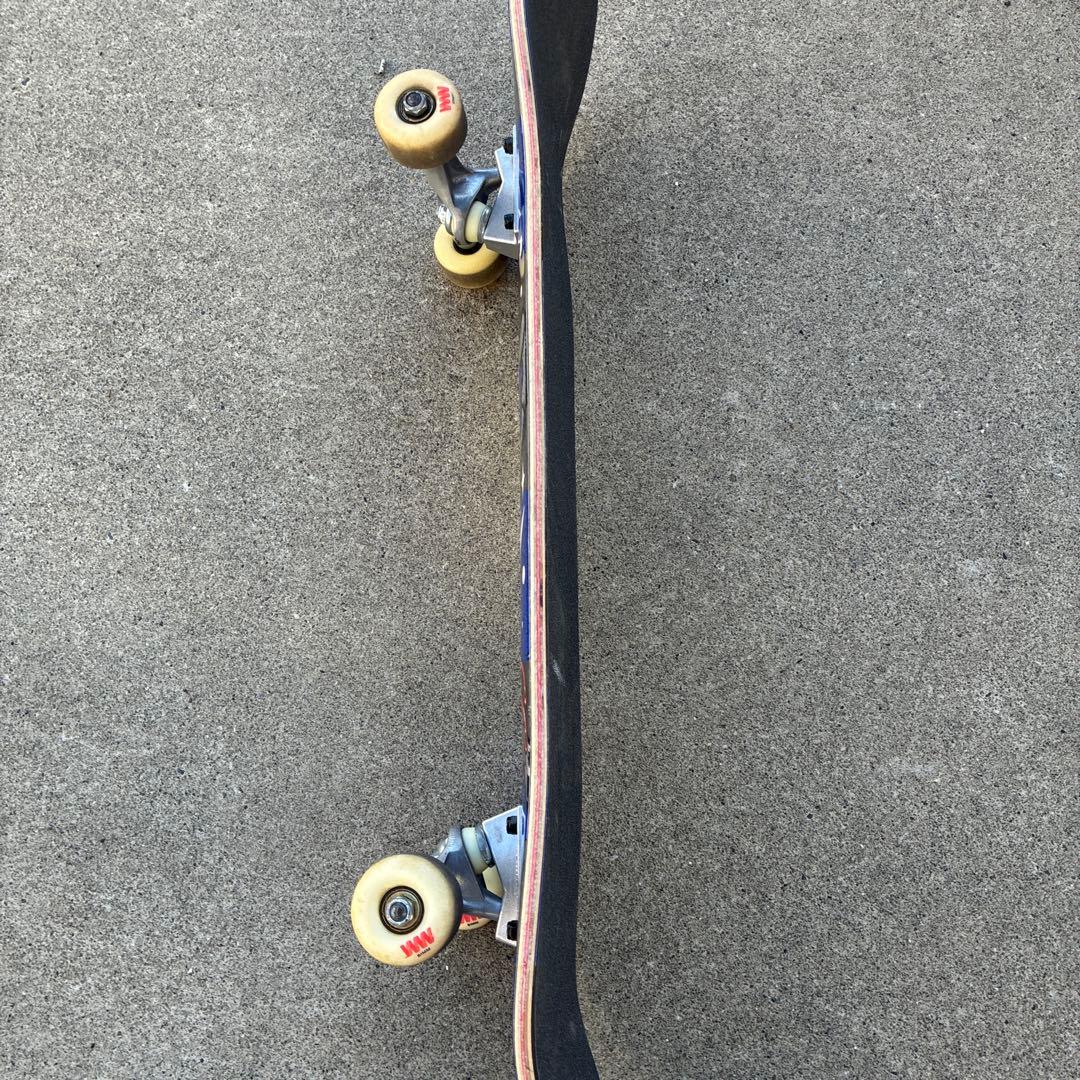SANTA CRUZ コンプリートスケートボード 80センチ