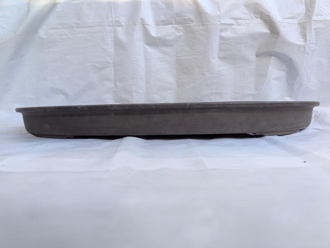 盆栽鉢 大型 浅鉢 オーバル 約69×45.5×6.5cm 無釉 灰泥鉢 鉢皿