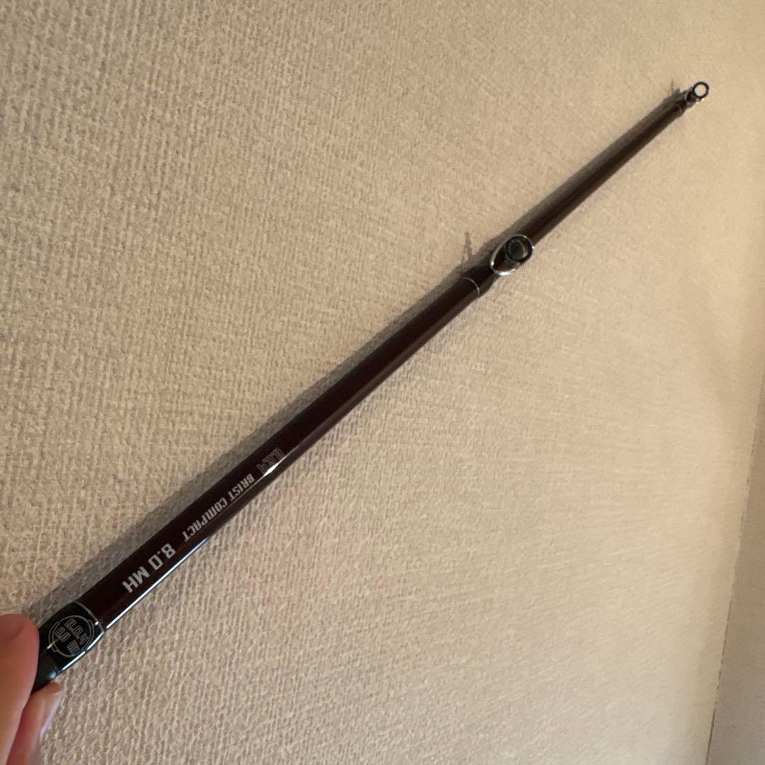 fishmanフィッシュマン　BC4 8.0MH