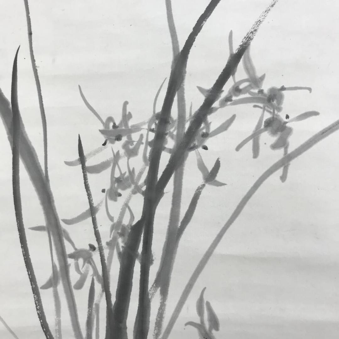 真作/津田白印/蘭画賛/ラン図/花図/掛軸☆宝船☆AH-516