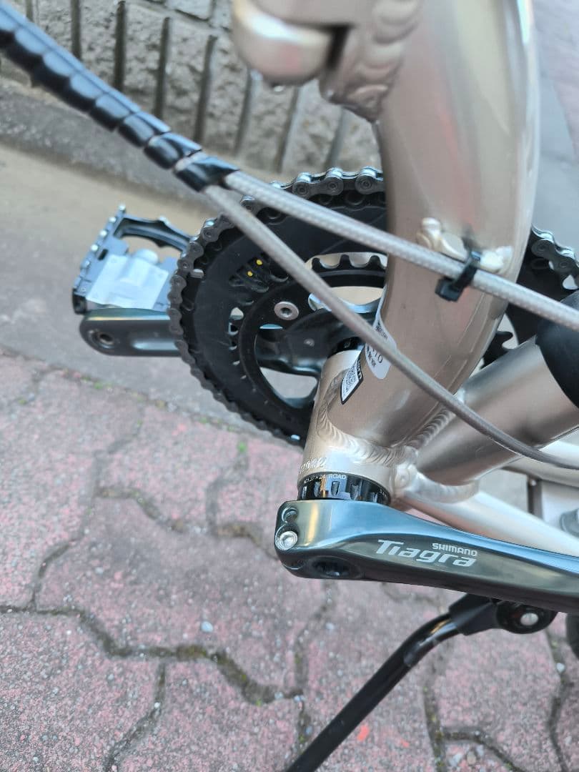 tern verge n8 シャンパンゴールド 改造有