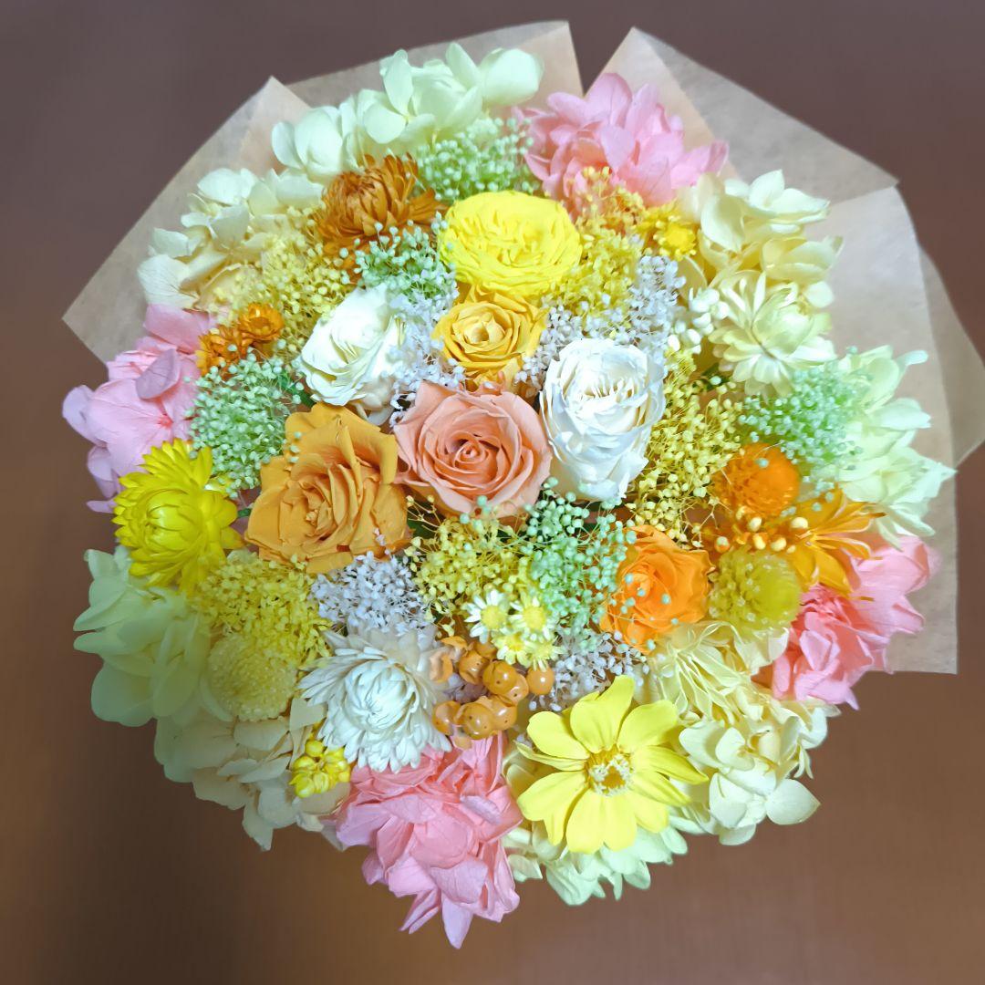 黎華　限定価格ビタミンLサイズ　 大人パープル　両方袋付き