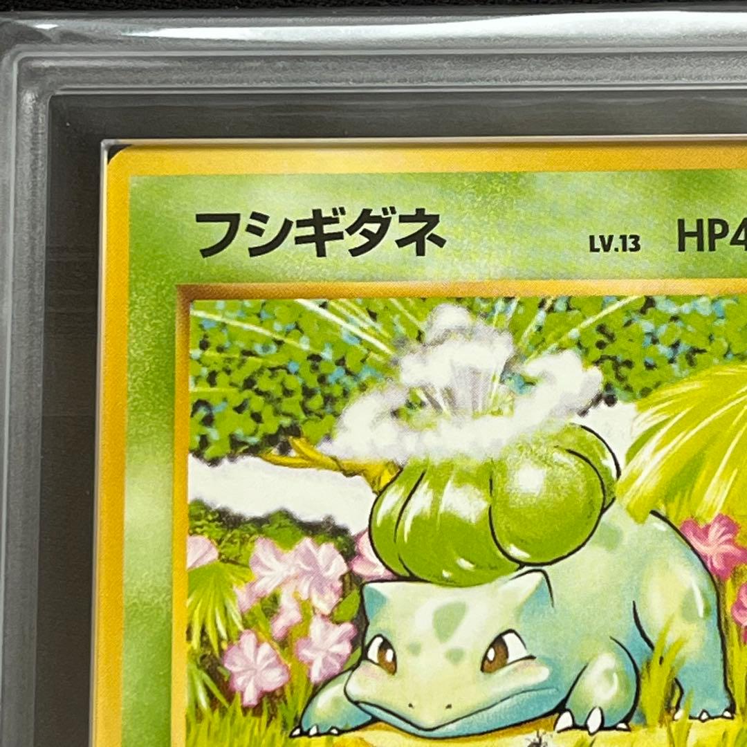 【ARS10】ポケモンカード　旧裏　フシギダネ　第1弾拡張パック