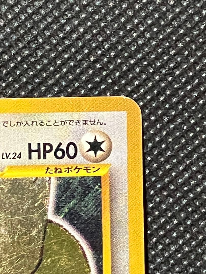 希少 ポケモンカード ひかるヨルノズク 旧裏