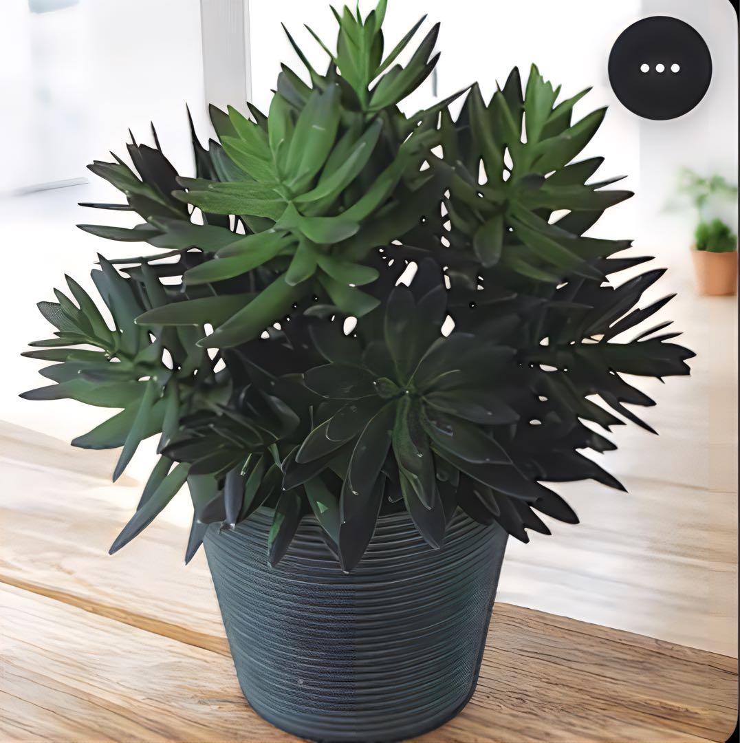 光触媒　人工観葉植物　ウォールグリーン　フェイクグリーン　サッカレントポット