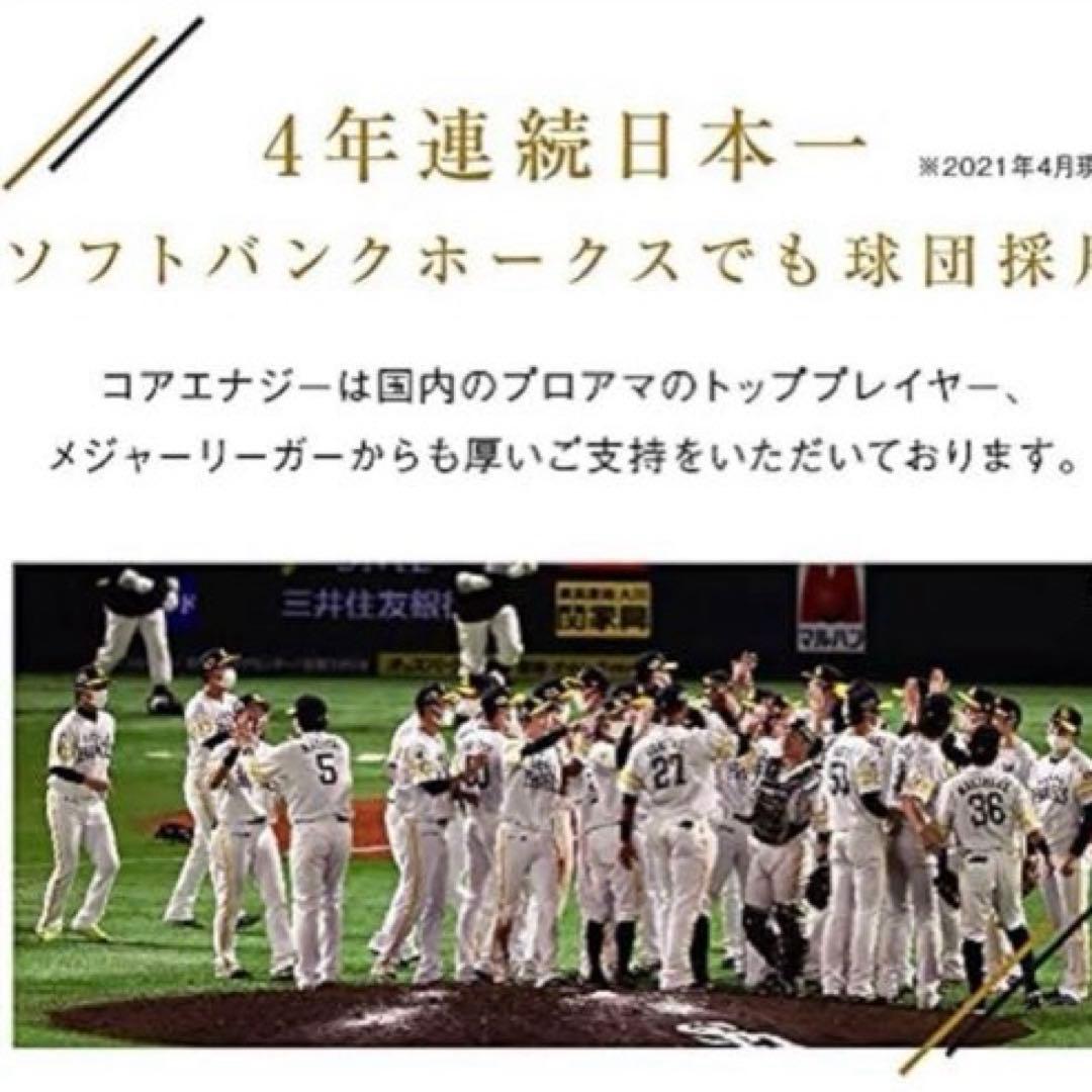 野球ベルト プロ野球選手 愛用 CoreEnergy 体幹サポートコアエナジー