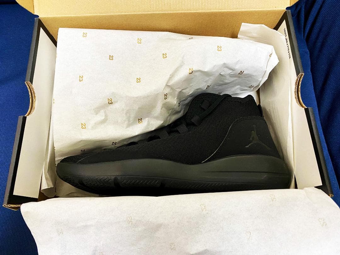 JORDAN REVEAL 26.5cm ジョーダンリビール