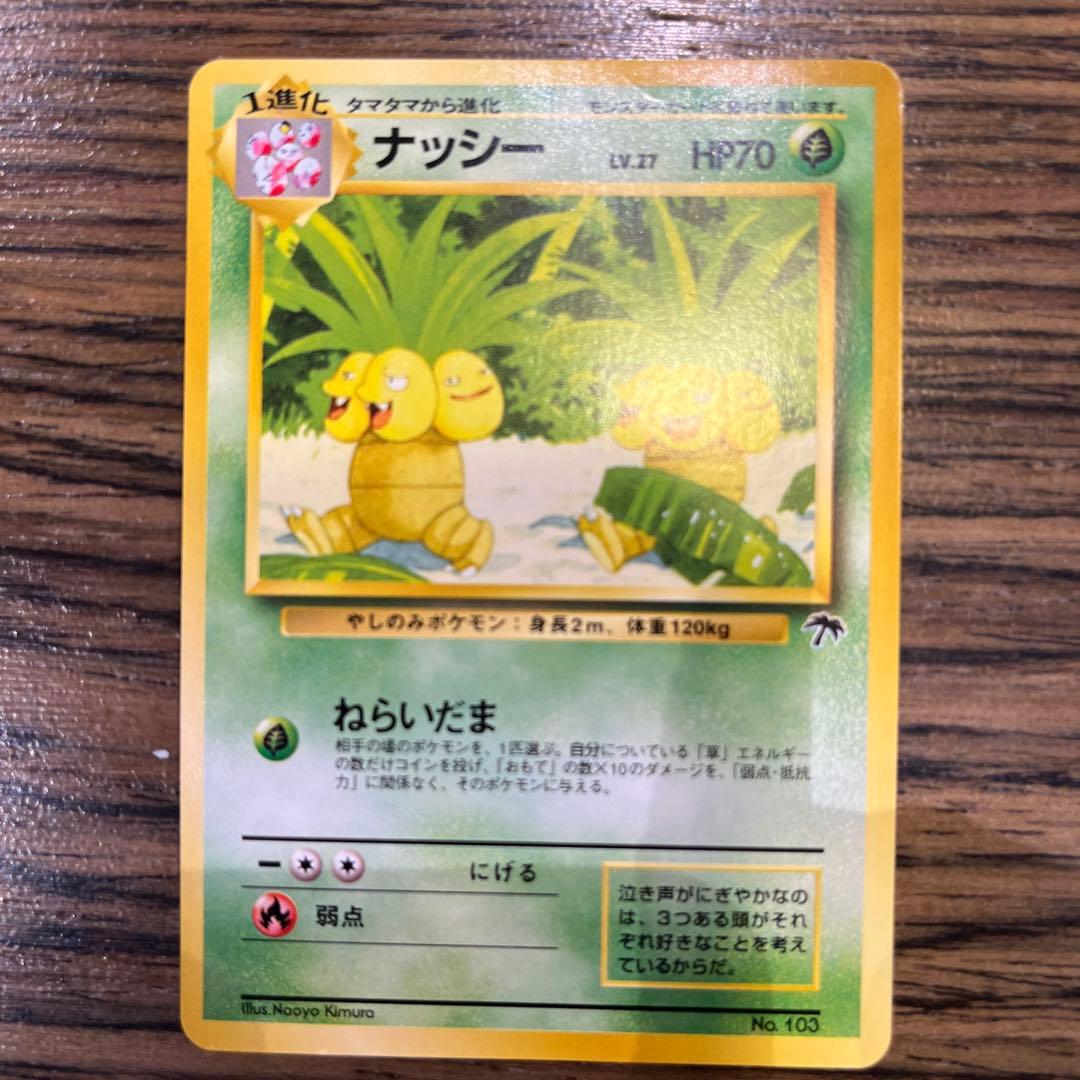 【極美品・未使用】ポケモンカード 旧裏 サザンアイランド トロピカルアイランド