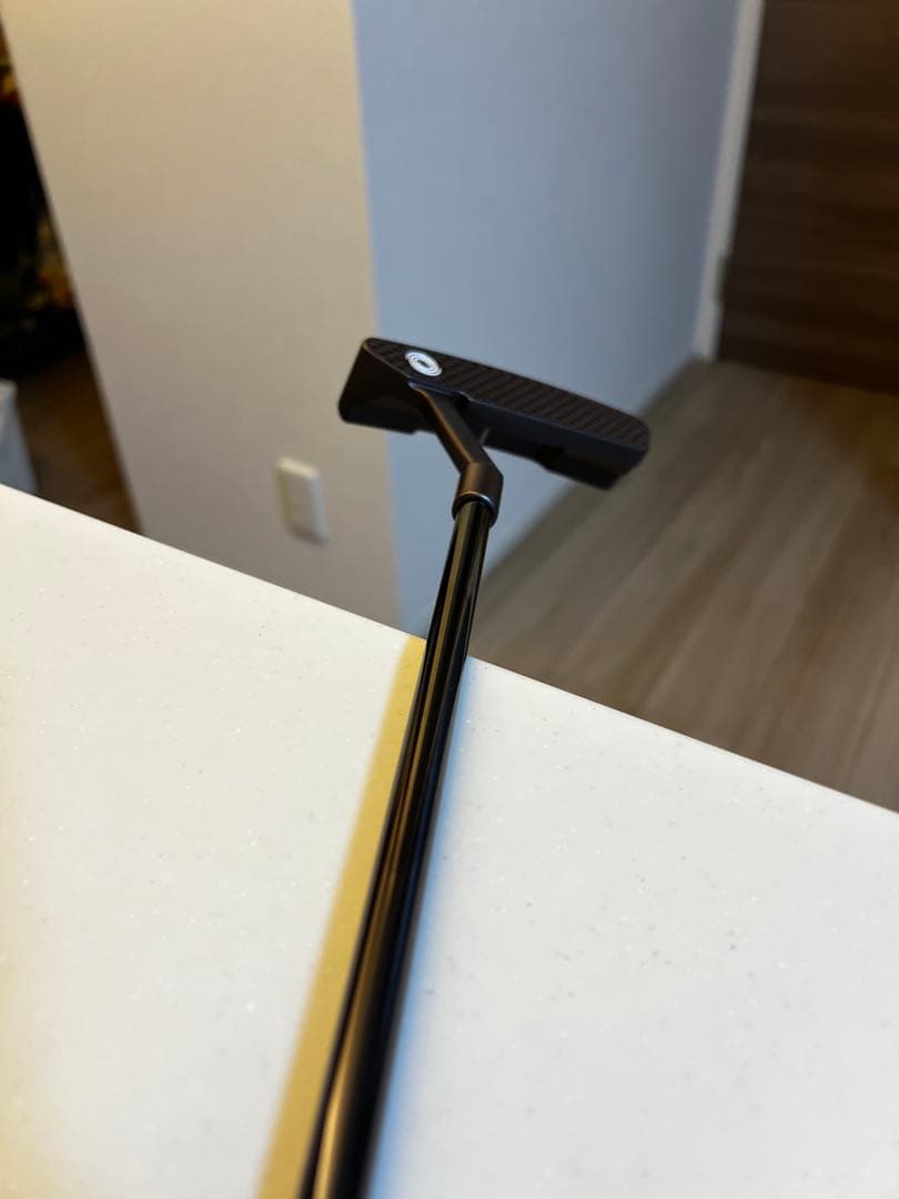 【希少品】オデッセイ（ODYSSEY）パター トゥーロン ガレージ サンディエゴ