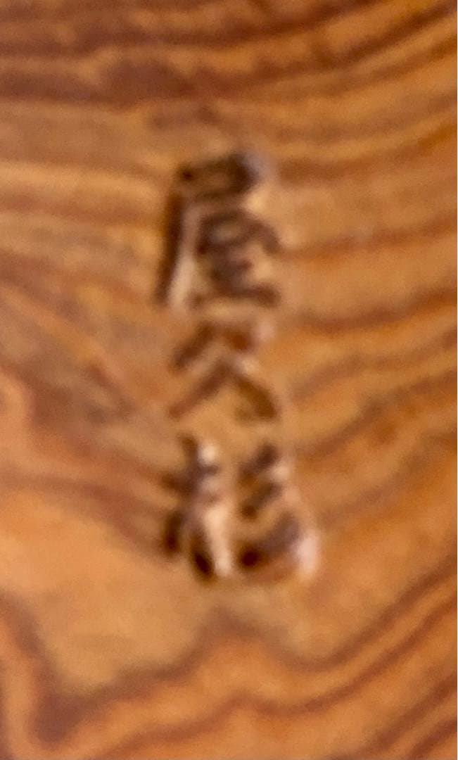 屋久杉　天然木　花台 花瓶台 一枚板 陶器台 置き台