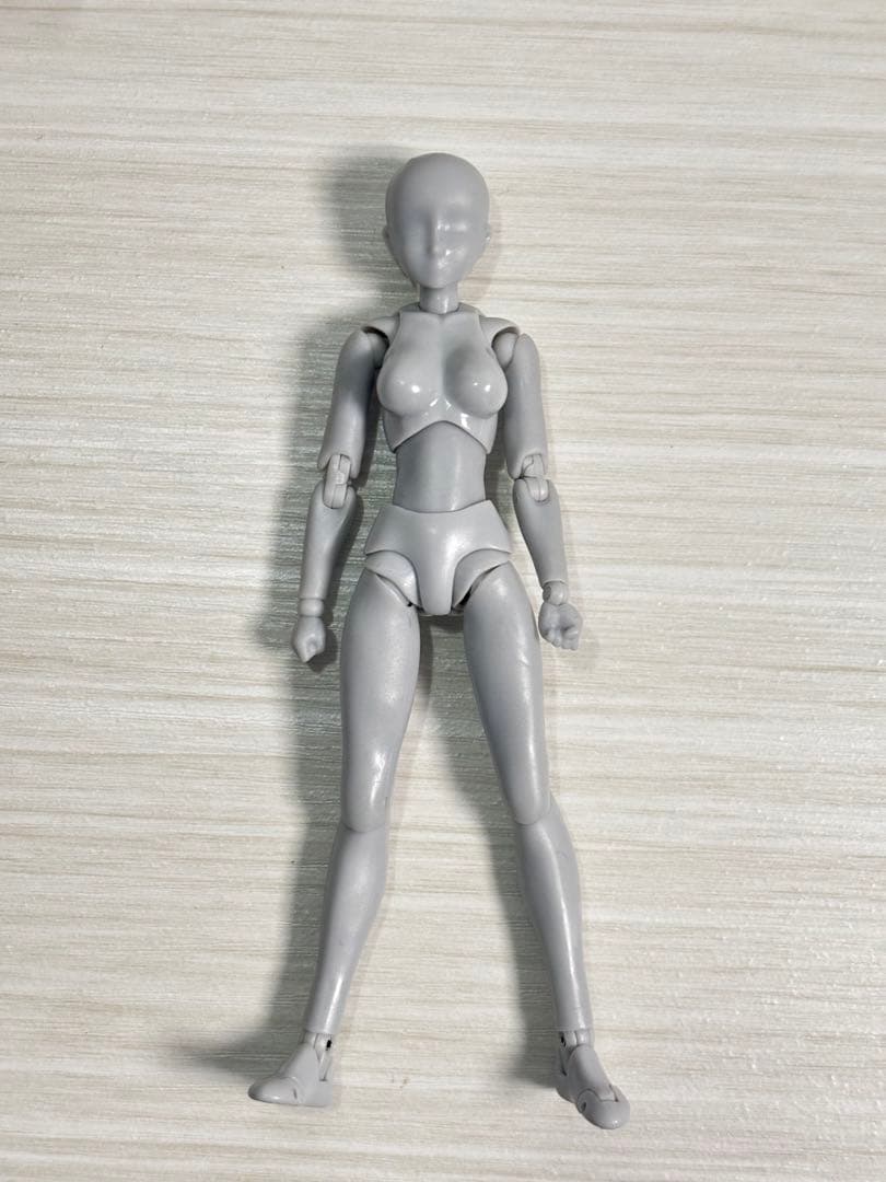 正規品 S.H.Figuarts ボディちゃん グレー フィギュアーツ デッサン