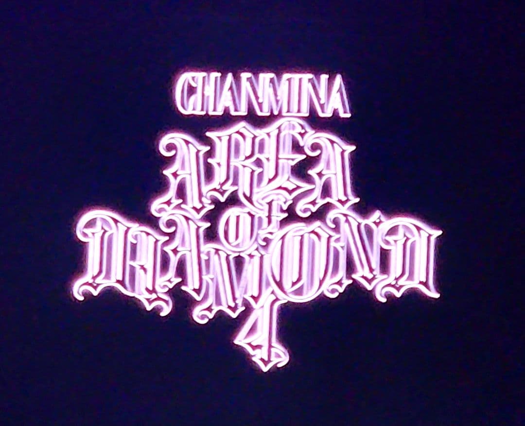 【新品未使用】AREA OF DIAMOND 4 BLACK -SHIRT XL