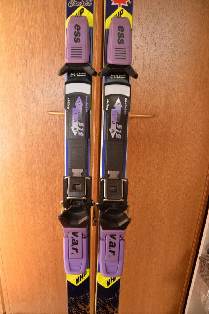 NISIZAWAスキーデモンストレーターゴールド