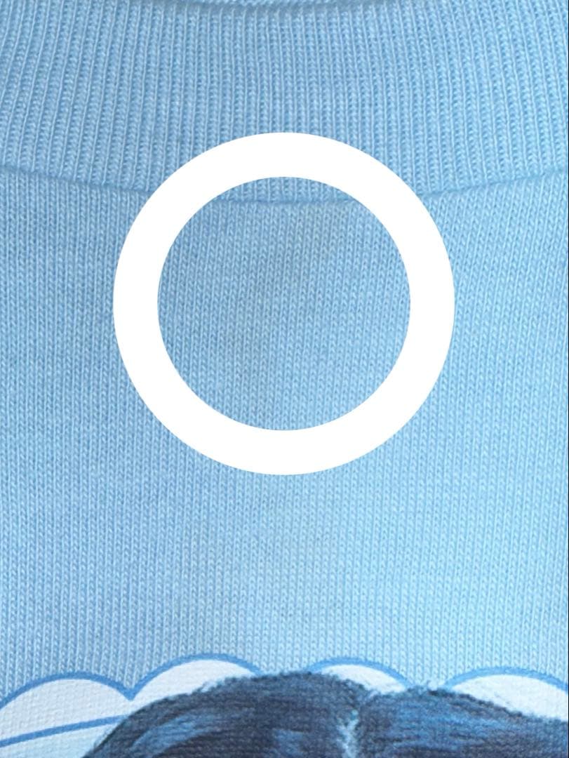 iLiFE! 武道館 ONELiFE！ オンライン 虹羽みに Tシャツ