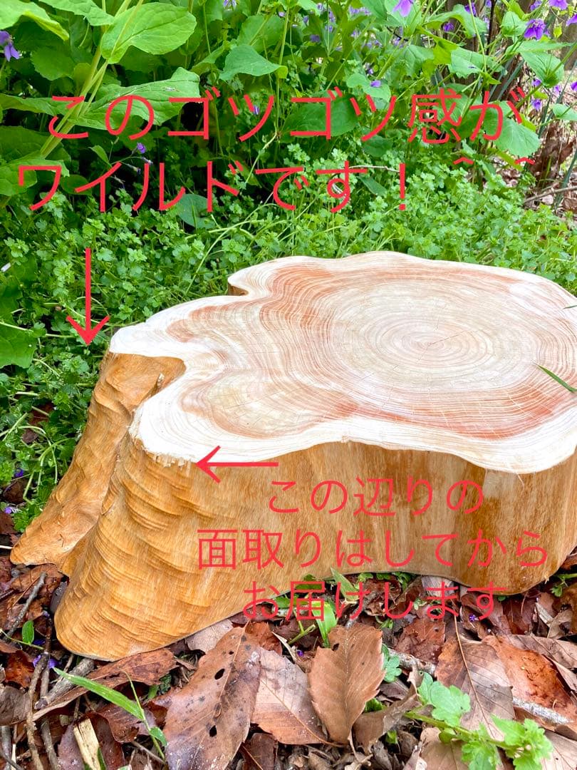 完売  超ワイルド！天然檜/切り立て【切り株テーブル/ちゃぶ台】とても良い香り♪