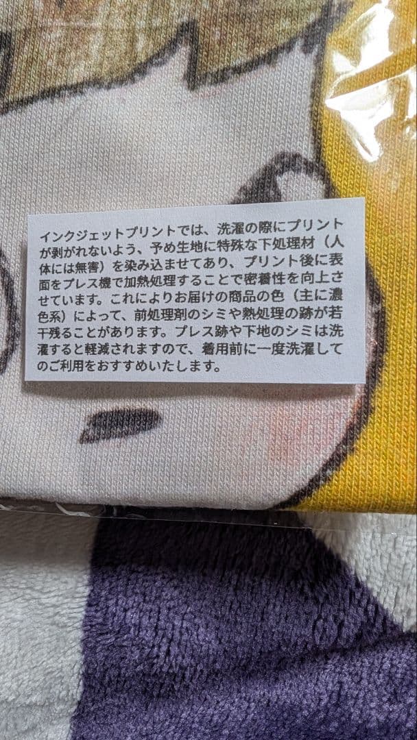 新品未開封　銀杏BOYZ　 奈良美智　 コラボ Tシャツ 　峯田和伸　 XL