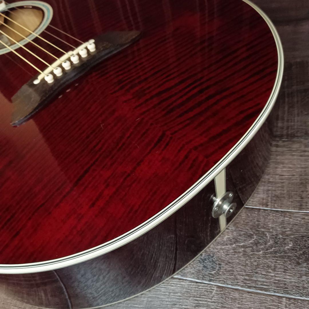 赤トラ目 美品 エレアコ TAKAMINE NPT-110 ギター ケース付