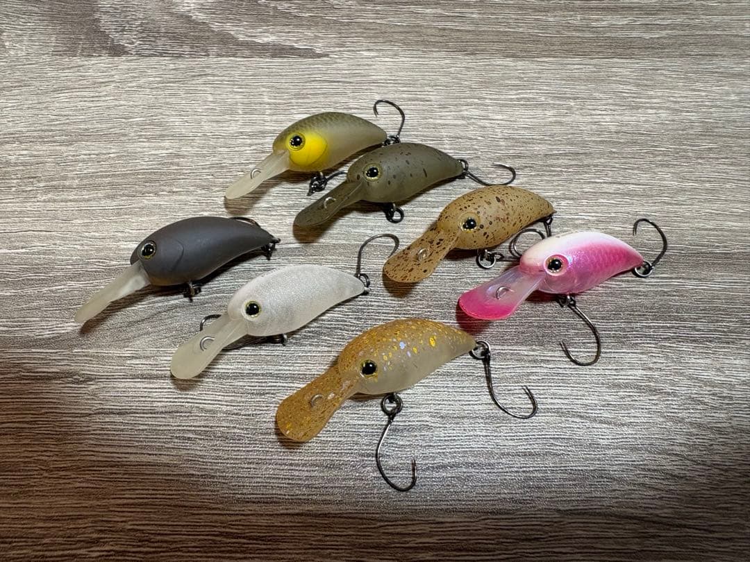 ティモン　パニクラMR 7点