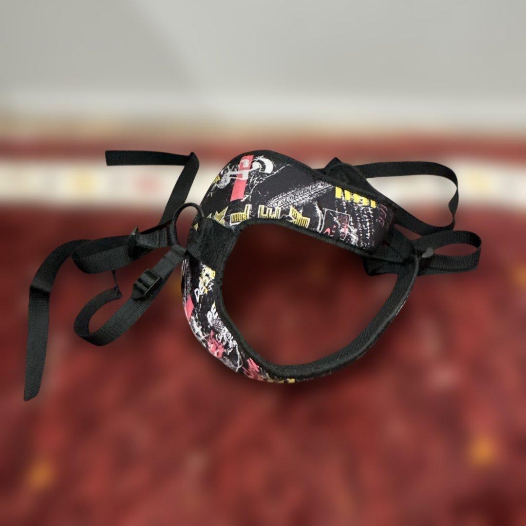 Oakley ゴルフ　キャディバッグ